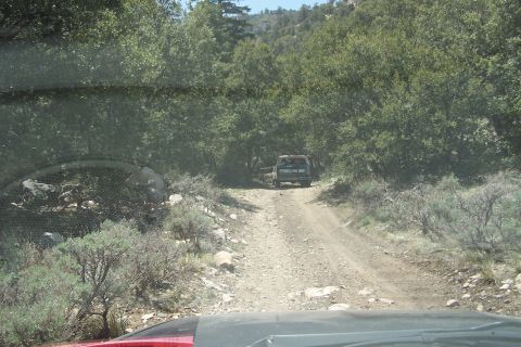 1990 Ford Bronco