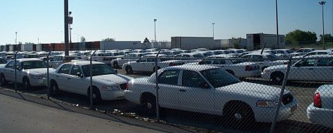 2001 Ford Crown Victoria - A large lot filled with identical white sedans, possibly a police or fleet vehicle impound lot.