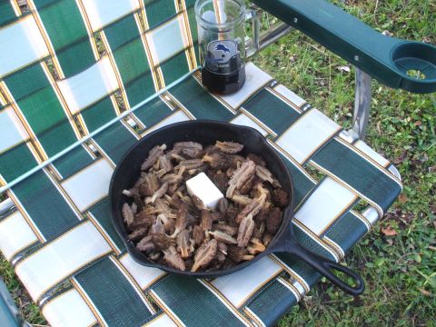 1990 Ford Bronco - morels for supper