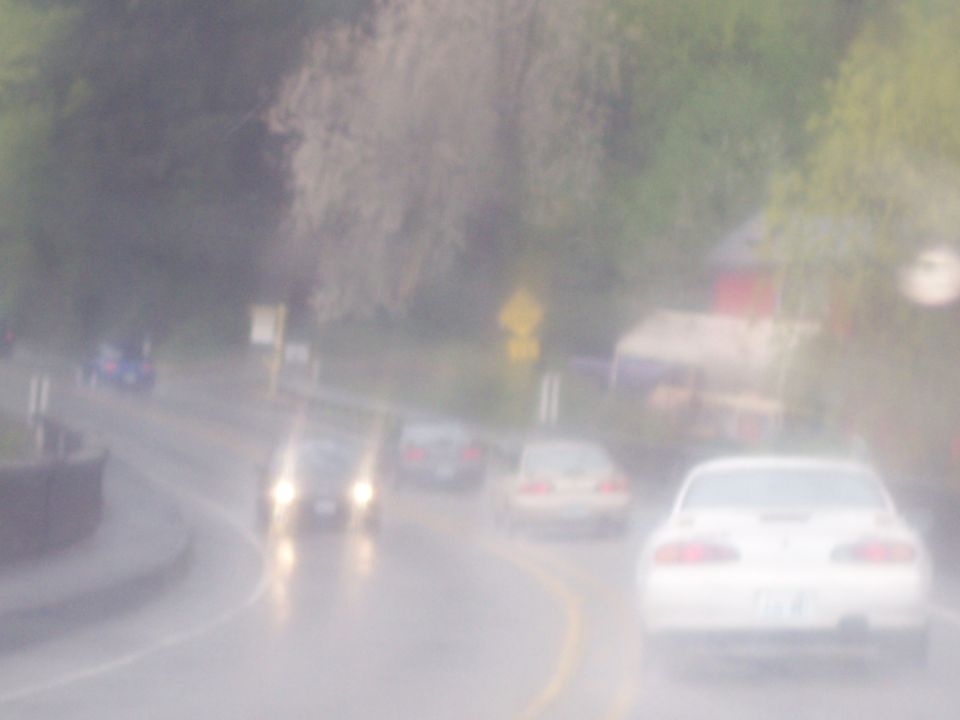 White coupe driving on a wet road, rear view.