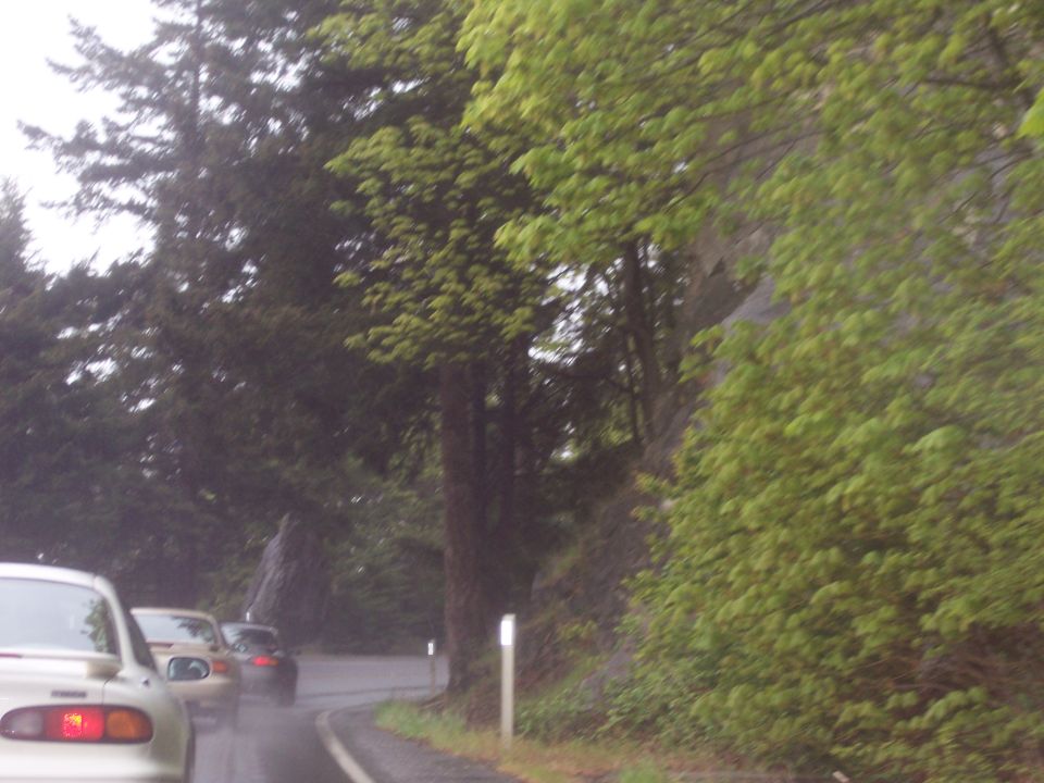 White convertible sports car driving on a wet, tree-lined road.