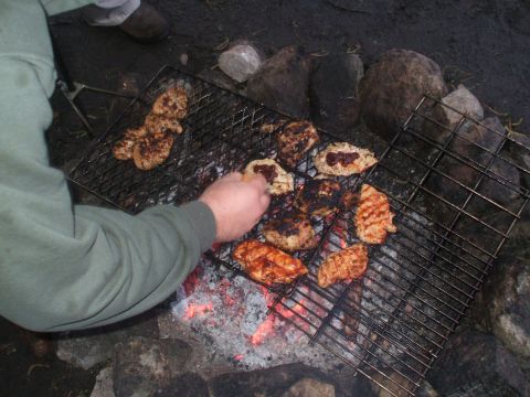 1990 Ford Bronco - mmmm....chicken...