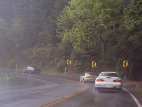 1995 Ford Probe - Cars navigate a wet, winding road through a forested area with caution signs.