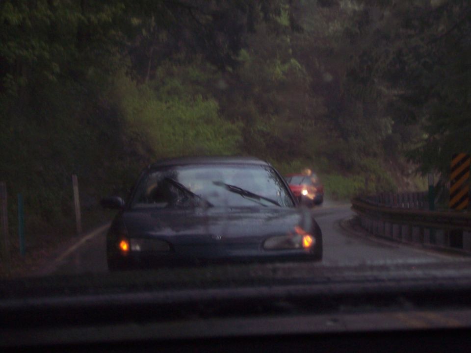 Dark colored car driving on a wet, tree-lined road.