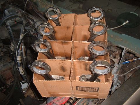 1981 Ford LTD - Eight forged TRW slugs slung on stock shot peened rods with ARP bolts. Tightened by stretch if you must know.