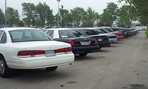 2001 Ford Crown Victoria - A line of Ford Crown Victorias are parked in a lot, with the rear of a white model in the foreground.