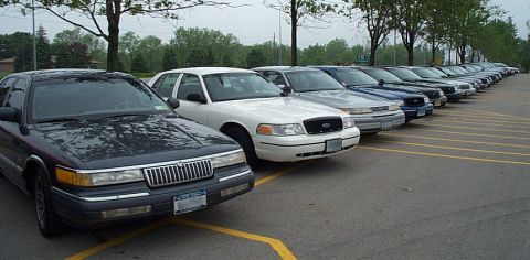 2001 Ford Crown Victoria - A line of 2001 Ford Crown Victorias are parked in a lot.