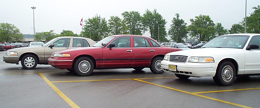 Side view of a white 2001 Ford Crown Victoria parked next to a red one
