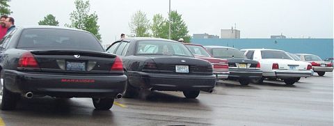 2001 Ford Crown Victoria - A line of sedans, including a black 2001 Ford Crown Victoria Marauder, parked outdoors on a cloudy day.