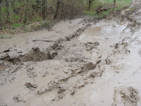 1992 Ford Bronco - A muddy road with deep ruts and standing water suggests difficult terrain.