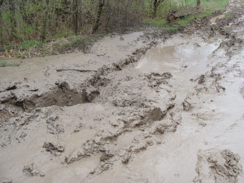 Muddy road with deep ruts and standing water, trees in background