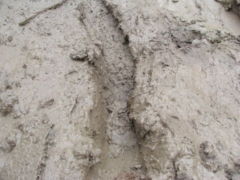 1992 Ford Bronco - Tire tracks are visible in the mud, with the Supermotors logo in the lower right corner.