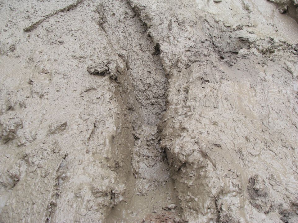 Tire tracks in mud with Supermotors logo