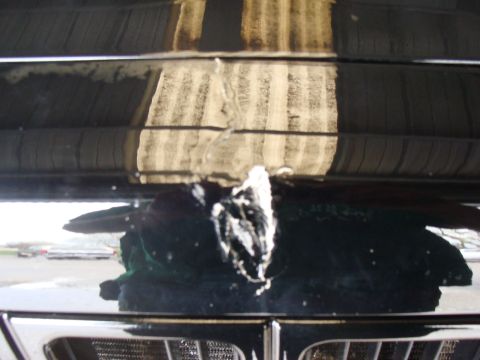 1992 Ford Bronco - Dont let clevis hooks get near you when the strap snaps