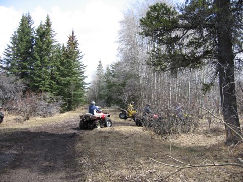 2004 Honda TRX 350 FE