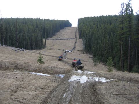 2004 Honda TRX 350 FE