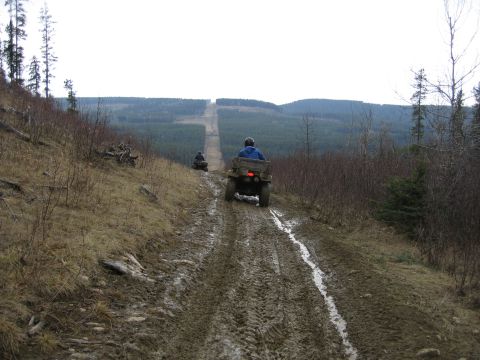 2004 Honda TRX 350 FE