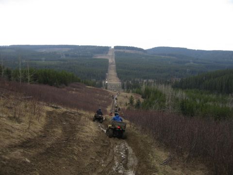 2004 Honda TRX 350 FE