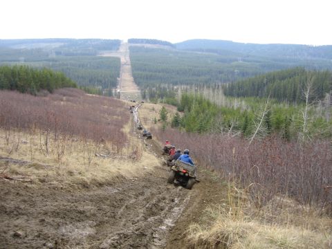 2004 Honda TRX 350 FE