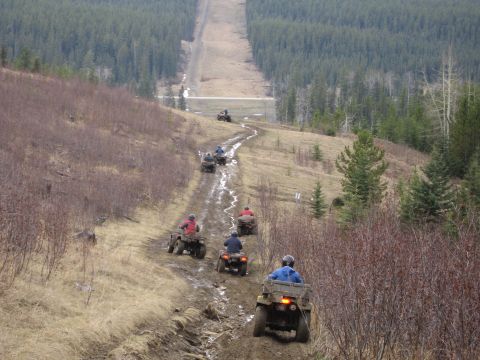 2004 Honda TRX 350 FE