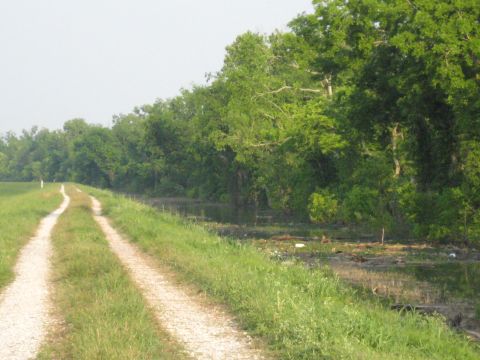 2006 Ford F-150 - A dirt road runs alongside a ditch and dense trees under a hazy sky.