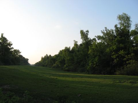 2006 Ford F-150 - A wide, green field stretches towards a dense line of trees on a clear day.