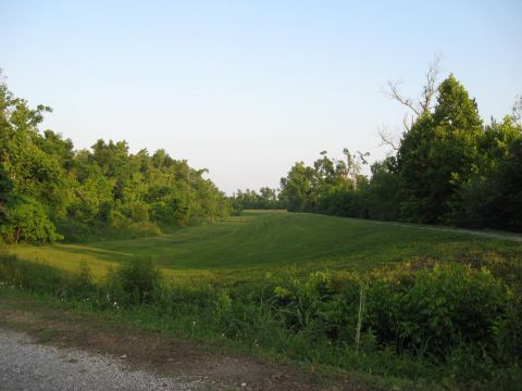 2006 Ford F-150 - A wide, mown field is bordered by dense trees on both sides, with a dirt path visible on the right.