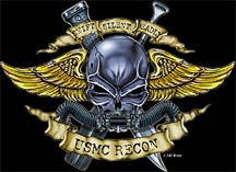 1991 Ford Explorer - Emblem for USMC RECON a skull with wings and crossed weapons.