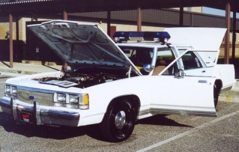 1991 Ford Crown Victoria - My car at a car show!