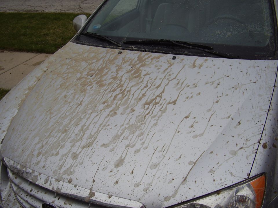 Silver car hood covered in mud splatters and streaks.