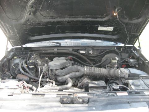 1995 Ford Bronco photo