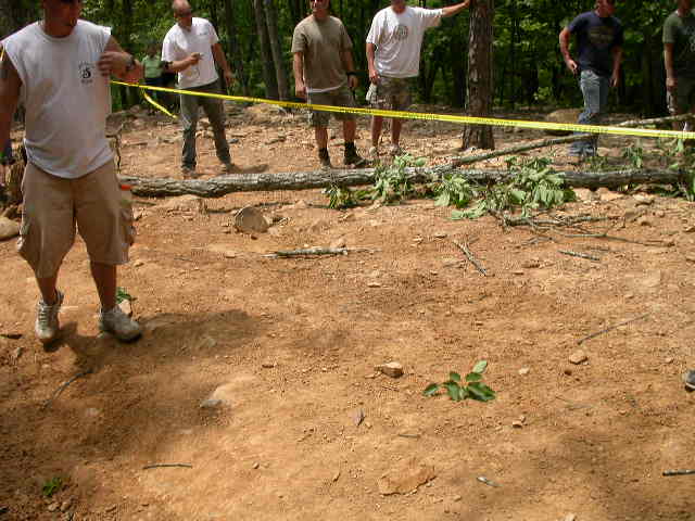 No, it was a 5" tree.