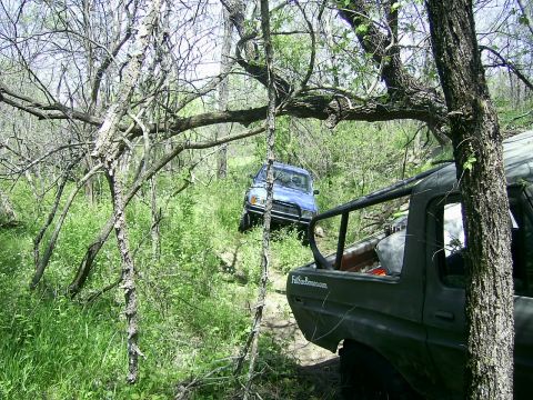 1978 Ford Bronco - Two off-road vehicles are seen on a trail surrounded by dense trees and foliage.