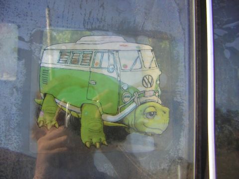 1971 Volkswagen Vanagon - A whimsical drawing combines a classic Volkswagen bus with a turtle, applied as a decal to a window.