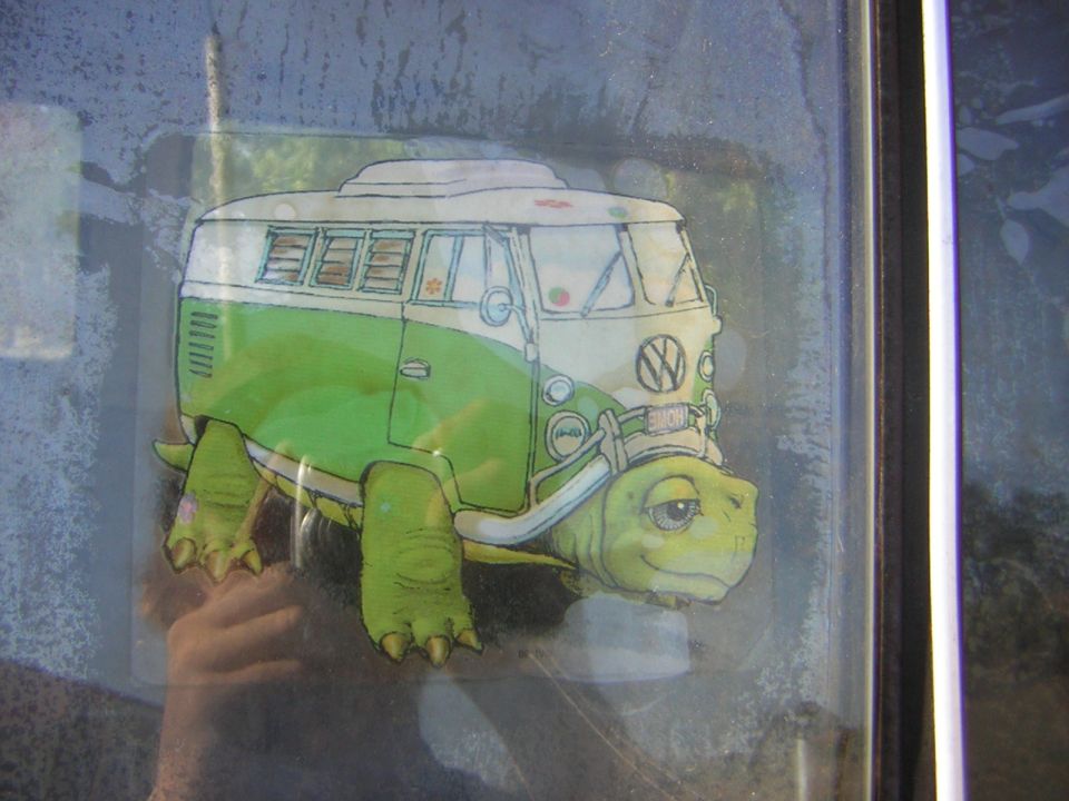 Drawing of a Volkswagen bus on a turtle's shell, stuck to a window