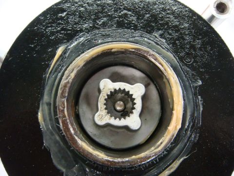 1996 Ford Bronco - Workshop close-up of a winch planetary gear in grease, not a technical document.