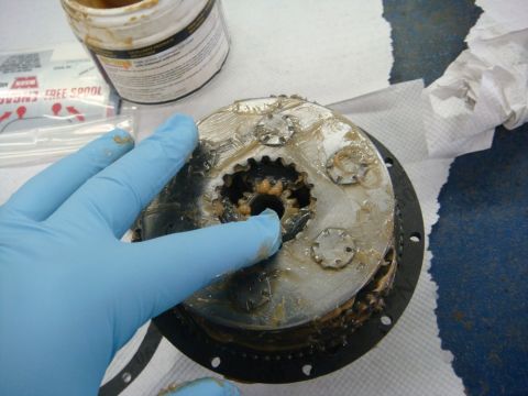 1996 Ford Bronco - Workshop close-up of a winch pinion and gears in grease, not a technical document.