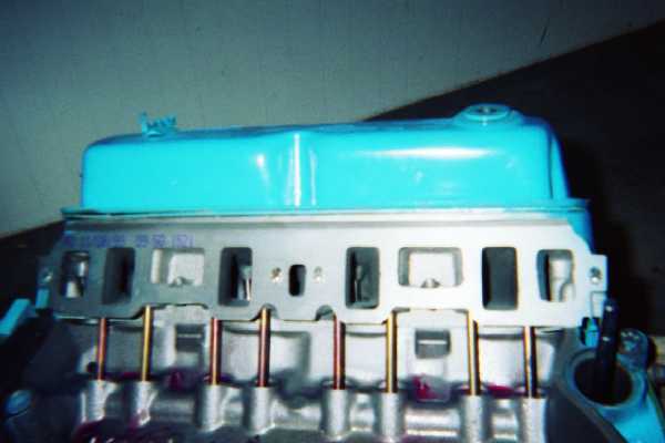 Picture showing the intake runners of the new GT-40 heads.