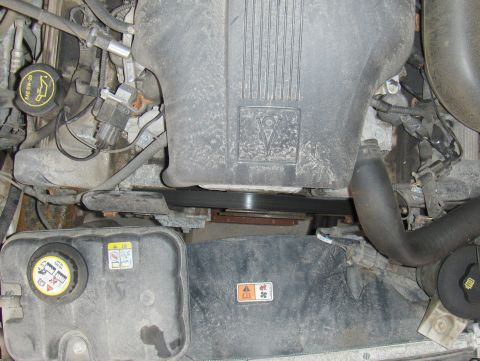 2003 Ford Crown Victoria - Close-up view of a vehicle's engine bay, showing the coolant reservoir and drive belt.