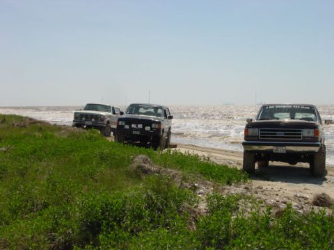 1990 Ford Bronco - Three Ford trucks, including a 1990 Bronco, are parked on a beach with the ocean in the background.