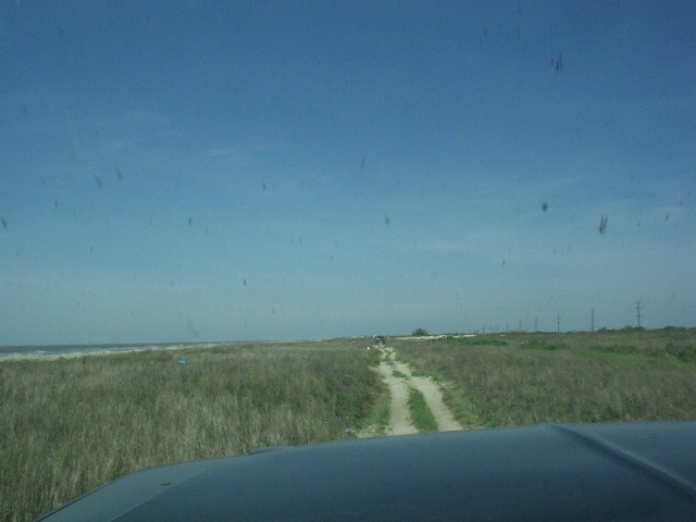 View from car driving on dirt road toward beach, tall grass on sides, clear blue sky