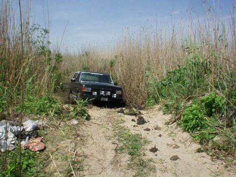1990 Ford Bronco
