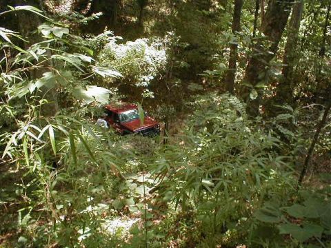 1990 Ford Bronco