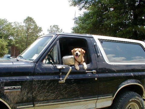 1990 Ford Bronco