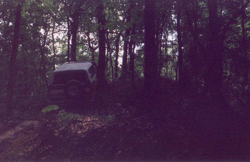 Dark SUV parked on a dirt path in a dense forest, viewed from the rear-left.
