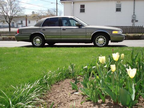 1999 Ford Crown Victoria photo