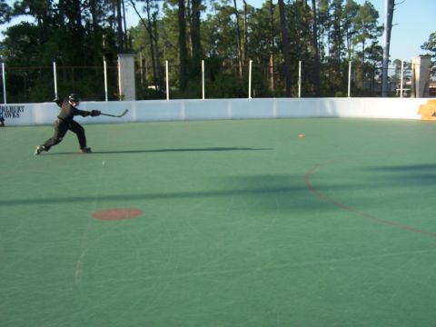 1973 Ford Ranchero - A person plays hockey on an outdoor court, with trees and a fence visible in the background.