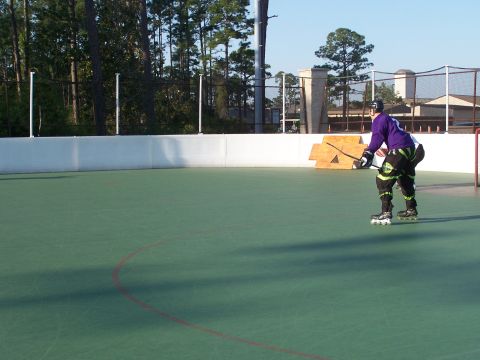 1973 Ford Ranchero - A roller hockey player in purple and black gear skates on a green court surrounded by white boards.