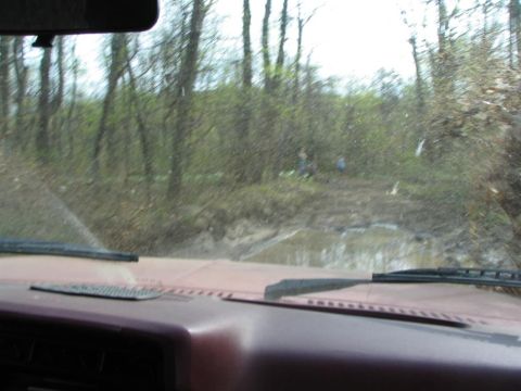1982 Ford Bronco photo