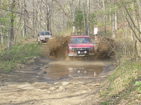 1982 Ford Bronco photo